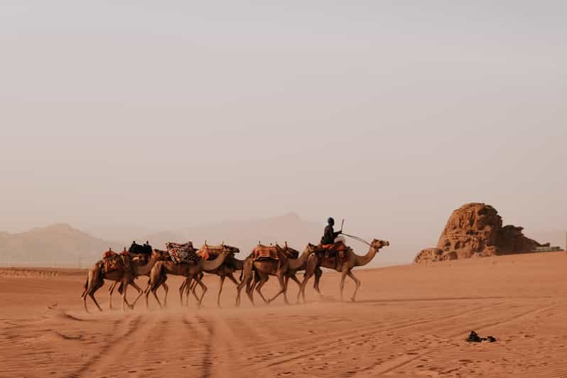 All in One Day Experience in Wadi Rum