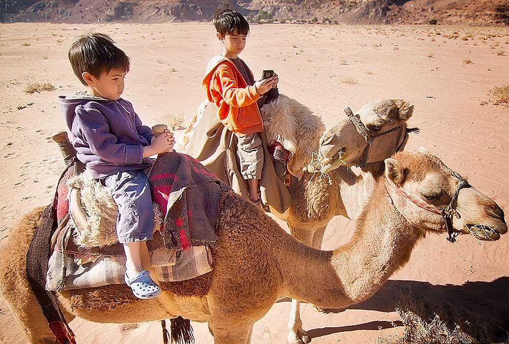 Camel Ride