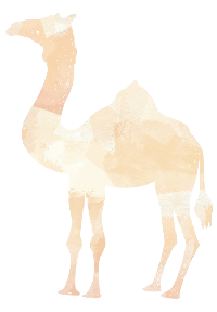 Camel in Wadi Rum